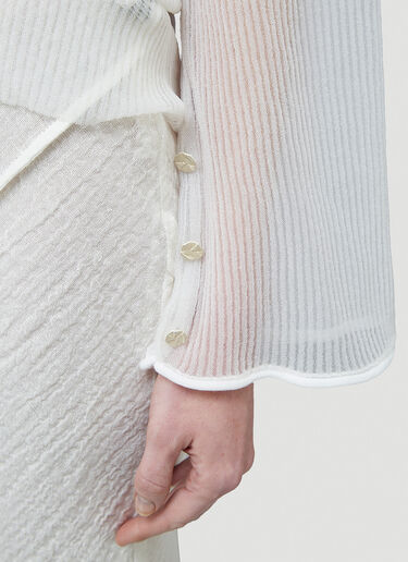 Acne Studios Kleo Transparent Sweater White acn0244062