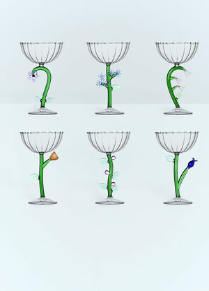 Ichendorf Milano Set Of Six Botanica Champagne Glasses Clear wps0691236
