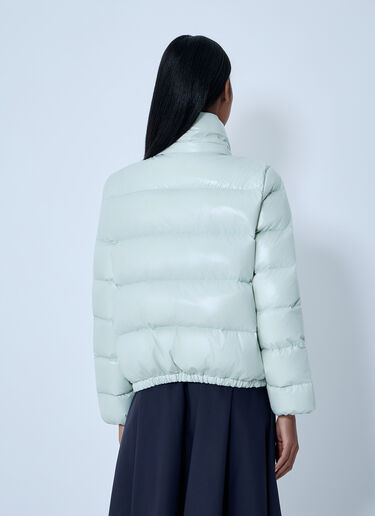 Andro Short Down Jacket Moncler Andro Short Down Jacket Green mon0263014