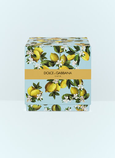 Dolce & Gabbana Casa Lemon Scented Candle Blue wps0691250