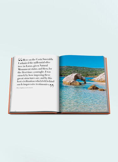 Assouline Costa Smeralda Multicolour wps0691715