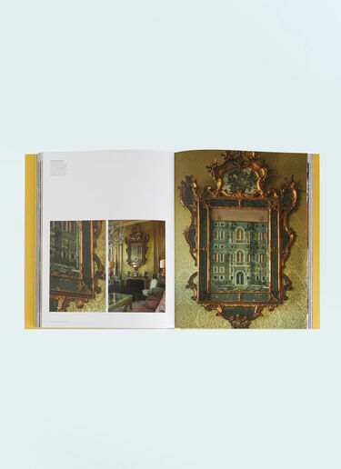 Flammarion Venice: A Private Invitation Book Brown wps0691283