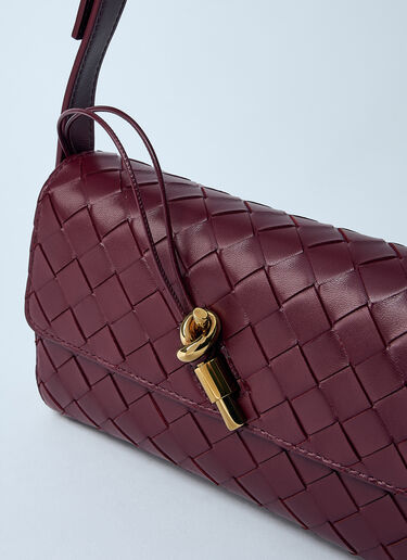 Bottega Veneta Crossbody Andiamo Bag Burgundy bov0259027
