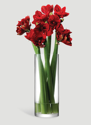 LSA International Column Large Vase Transparent wps0644368