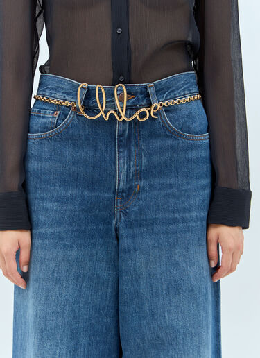 Chloé 아이코닉 스몰 벨트 골드 chl0257038