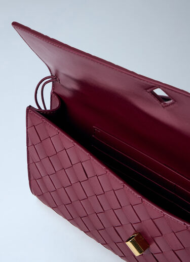Bottega Veneta Andiamo 长款手拿包 酒红色 bov0258012