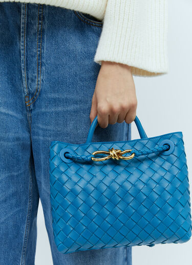 Small Andiamo Handbag Bottega Veneta Small Andiamo Handbag Blue bov0255071