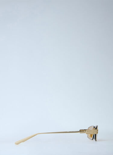 Balenciaga Gossip Rectangular Sunglasses Brown bal0264033