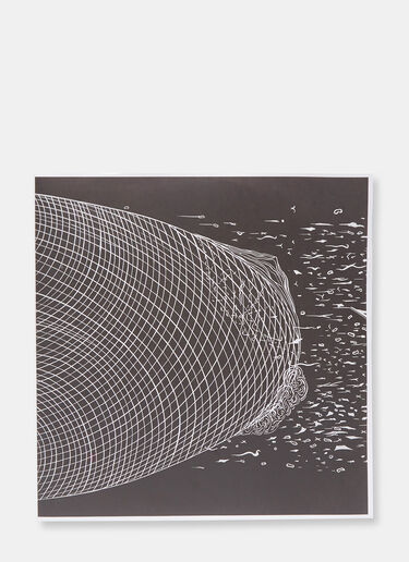 Music Different Fountains - Organism 3 (12'') Black mus0504970