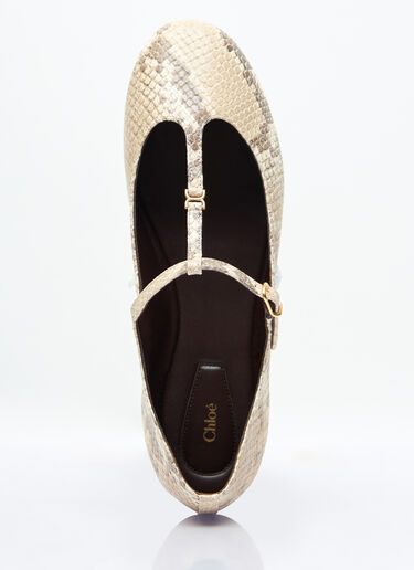 Chloé Marcie Ballerina Flats Beige chl0257031