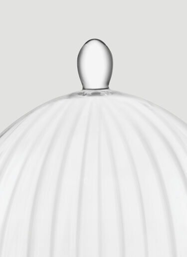 Aurelia Stand and Dome LSA International Aurelia Stand and Dome Transparent wps0644386