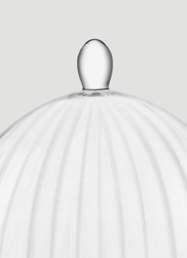 LSA International Aurelia Stand and Dome Transparent wps0644386