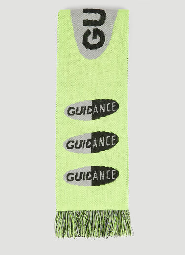 Lack of Guidance David Scarf Green log0150001