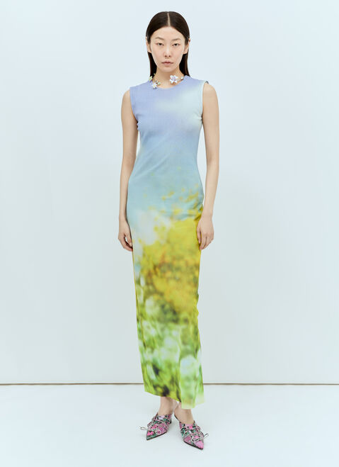 Acne Studios Blurred Print Maxi Dress Green acn0255013