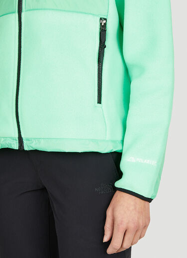 The North Face Icons Denali Jacket Green tnf0250045