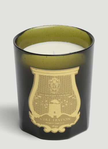 Cire Trudon Solis Rex Candle Green wps0644245