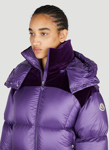 Meandre Down Jacket Moncler Meandre Down Jacket Purple mon0253007