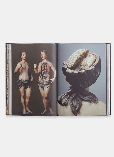 Books The Anatomical Venus by Joanna Ebenstein Black dbn0505092
