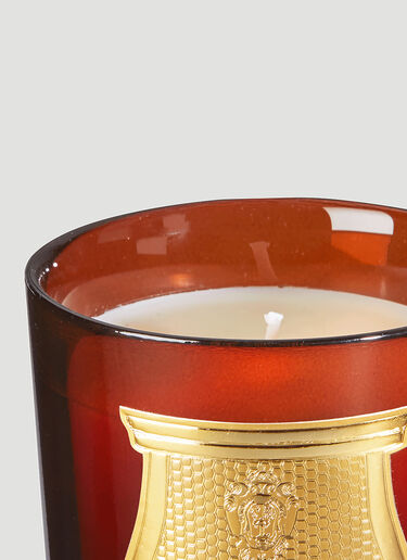 Trudon Cire Candle Red wps0642113