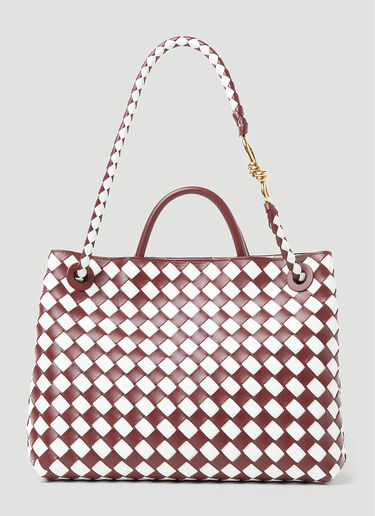 Bottega Veneta Medium Andiamo Handbag Burgundy bov0255081