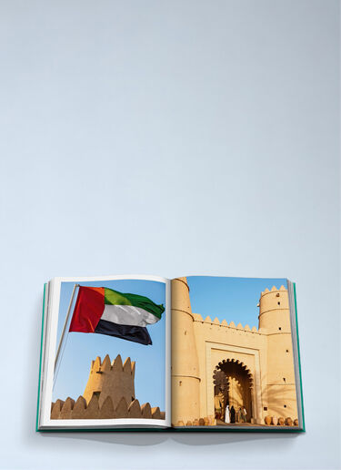 Abu Dhabi Bright Hardcover Book Assouline Abu Dhabi Bright Hardcover Book Multicolour wps0691971