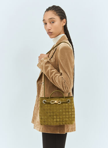 Bottega Veneta Small Andiamo Suede Handbag Green bov0258024
