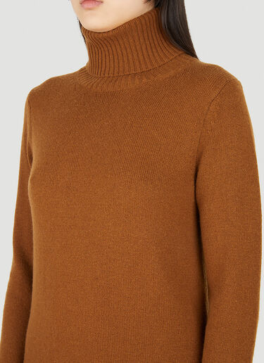 Max Mara Fanfara Roll Neck Sweater Dress Brown max0250030