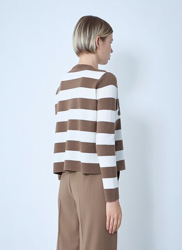 Striped Sweater Max Mara Striped Sweater Brown max0261005