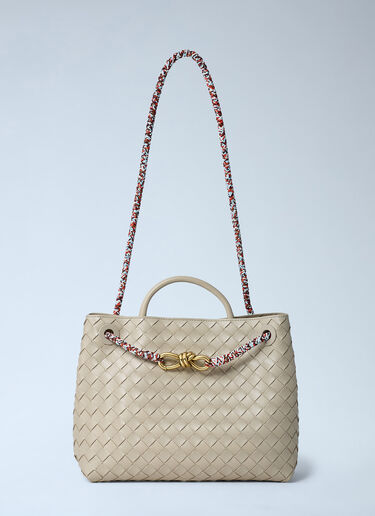 小号 Andiamo 手提包 Bottega Veneta 小号 Andiamo 手提包 原色 bov0261054