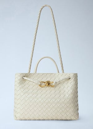 Bottega Veneta Medium Andiamo Handbag Beige bov0262048