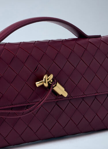 Bottega Veneta Andiamo 长款手拿包 酒红色 bov0258012