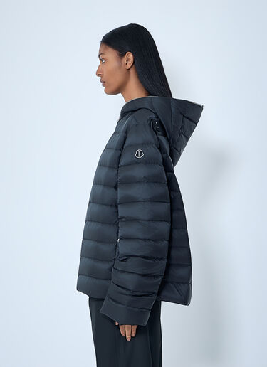 Moncler x Rick Owens Hooded Quilted Jacket Black mcs0363003