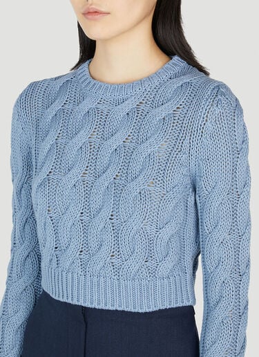 Max Mara Sfinge Sweater Light Blue max0252044