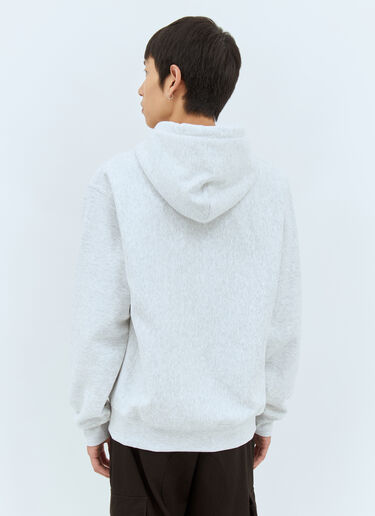 Sportswear Hooded Sweatshirt Stüssy Sportswear Hooded Sweatshirt Light Grey sts0158027