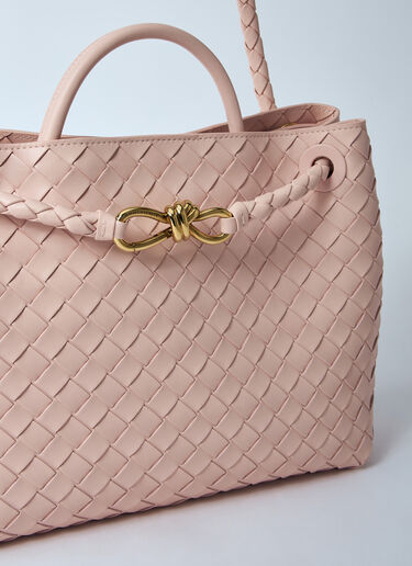 Bottega Veneta Medium Andiamo Handbag Pink bov0259034