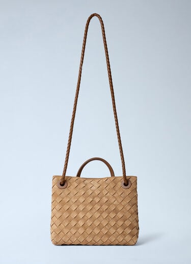 Small Andiamo Handbag Bottega Veneta Small Andiamo Handbag Camel bov0262006