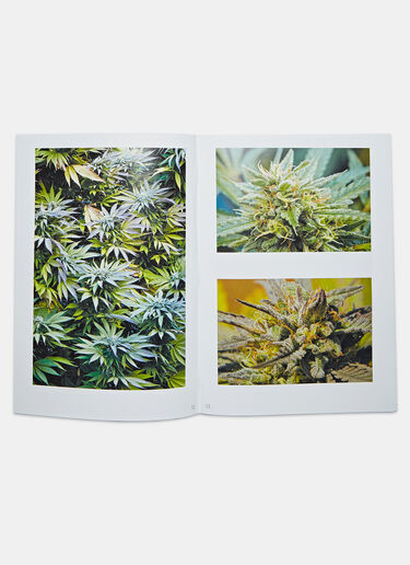 Books Approach to Cannabis by Yusuke Suzuki Black dbn0505086