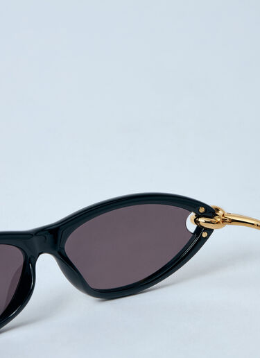 Bottega Veneta Classic Cat Eye Sunglasses Black bos0259004
