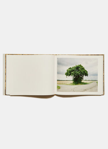 Books Something Like A Nest - Andy S Black don0590110