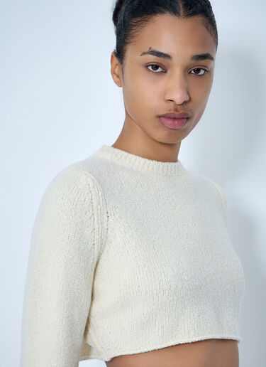 RIER Cropped Knit Sweater Beige rrr0264003