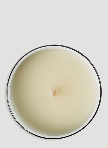 Gucci Animalium Fumus Candle Green wps0680017