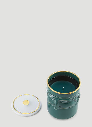 Ginori 1735 The Companion Candle Green wps0670240