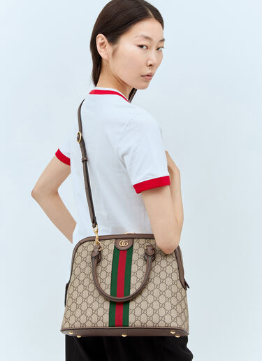 Gucci Ophidia Medium Handbag Brown guc0257145
