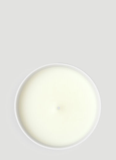 Gucci XL Grotesque Garden Candle Green wps0638402