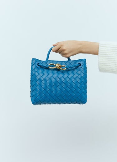 Small Andiamo Handbag Bottega Veneta Small Andiamo Handbag Blue bov0255071