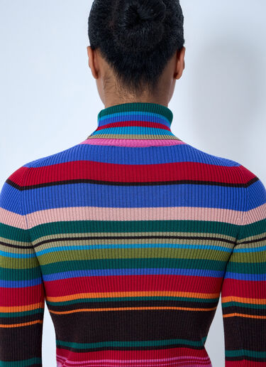 Acne Studios Striped Wool Turtleneck Multicolor acn0264028