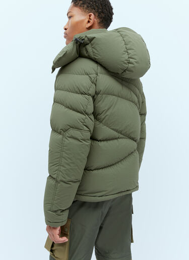 Moncler x Pharrell Williams Chestnut Down Jacket Green mpw0154001