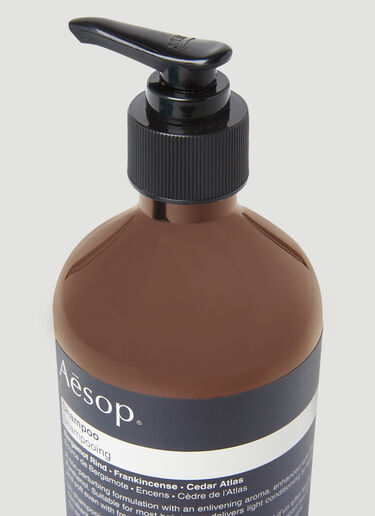 Aesop 洗发水 棕色 sop0353007