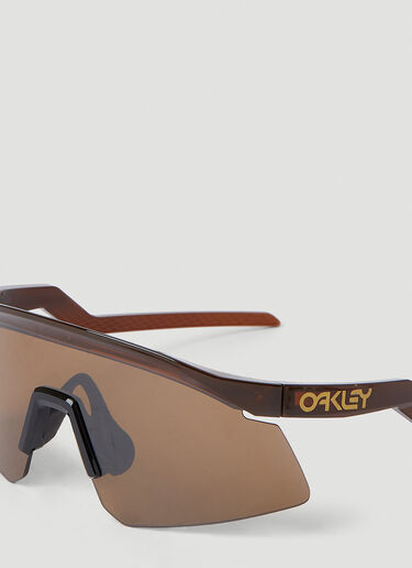 Oakley ヒドラ サングラス ブラウン lxo0351008