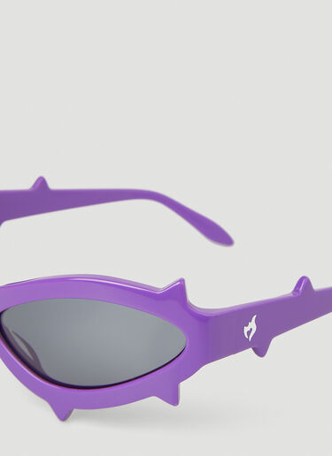 Spike サングラス MAUSTEIN Spike サングラス パープル mau0350004